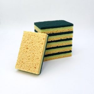 6 Tampons Sur Éponge Végétales